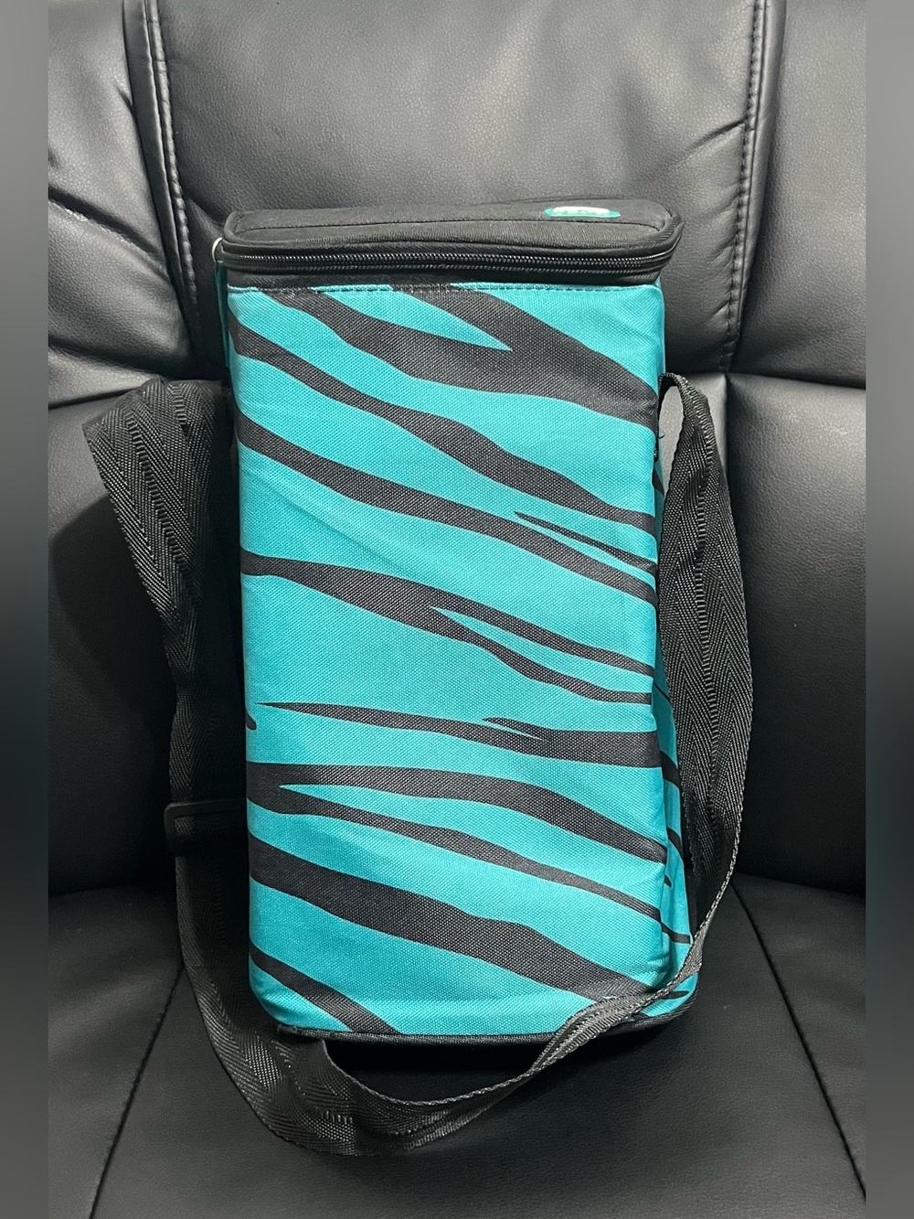 Igloo Daytripper  2 Bottle Insulated Thermal Tote Carrier Wine Champagne Water